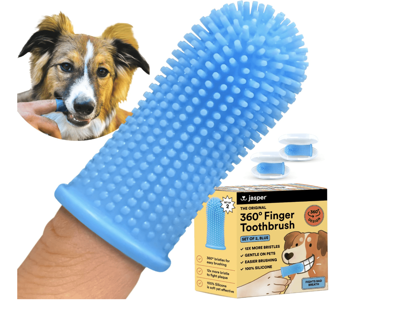 finger toothbrush dog